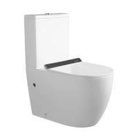 Унитаз напольный безободковый со смывом торнадо Cerutti Spa ORLTER Tornado CT10097 с быстросъемным сиденьем микролифт Унитаз напольный безободковый со смывом торнадо Cerutti Spa ORLTER Tornado CT10097 с быстросъемным сиденьем микролифт