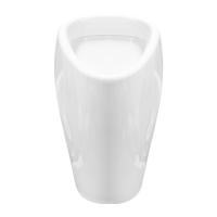 Писсуар Sanita Luxe Long PS/Long/Sens/WHT.G/S1 настенный