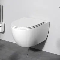 Унитаз подвесной Am.Pm Awe C111700SC