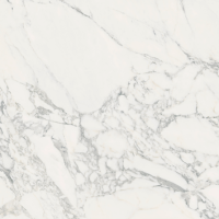 Гранит керамический 59,6x59,6 см PORCELANOSA MARMI 100296864 белый Гранит керамический 59,6x59,6 см PORCELANOSA MARMI 100296864 белый