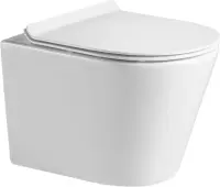 Унитаз BelBagno Flay-R BB053CHR подвесной безободковый