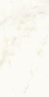 Calacatta Delicato Polished 37,5x75 см