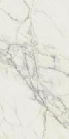 Calacatta Extra Matte Матовый 60x120 см