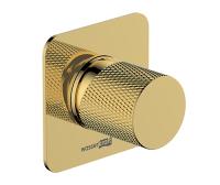 Встраиваемый смеситель для душа WasserKRAFT Ems 7651 золото глянцевый