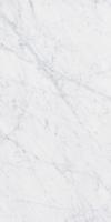Carrara 60x120 см