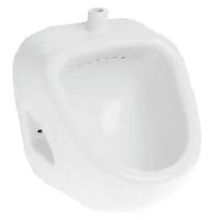 Писсуар Sanita Орион PS/Orion/Mech/WHT.G/S1 настенный