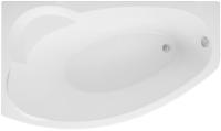 Акриловая ванна Aquanet Sofia 170x90 00204039 левая