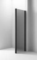 Боковая стенка 110х200 Ambassador Intense 110IBB Боковая стенка 110х200 Ambassador Intense 110IBB