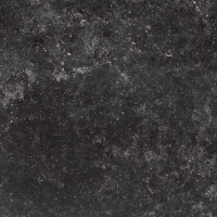 Гранит керамический Gardenia Orchidea Origini 80x80 см 73520 чёрный