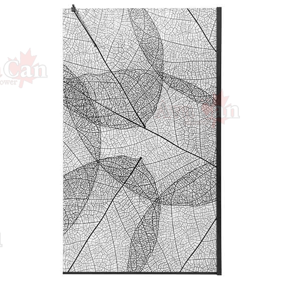 Душевая перегородка AvaCan 110x200 MB100 профиль черный