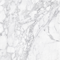 Гранит керамический 60x60 см CERAMICA COLLI BYRON 0005072 белый