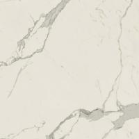 Empire Statuario Polished 80x80 см