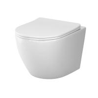 Унитаз подвесной AM.PM Like C801900SC безободковый с микролифтом