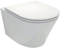 Унитаз Jacob Delafon Robin EDY102-00 подвесной безободковый