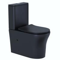 Унитаз напольный Cerutti SPA ADIGE MB CT9244 матовый черный Унитаз напольный Cerutti SPA ADIGE MB CT9244 матовый черный