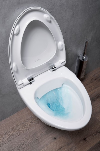 Унитаз подвесной Jacob Delafon Nouvelle Vague EDJ102-00 безободковый