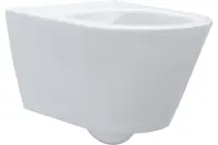 Унитаз подвесной Aquanet LAKE-W безободковый с микролифтом