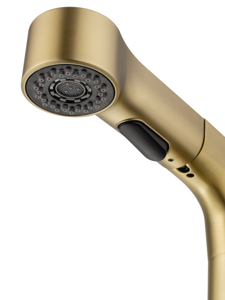 Смеситель для раковины с гигиеническим душем Wonzon & Woghand WW-121B108-BG золото брашированный