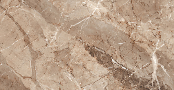 Плитка керамогранитная AZARIO CLARKY BROWN 60х120 High Glossy F2110821120HG
