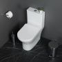 Унитазмоноблок безободковый с сиденьем  BelBagno LOUNGE BB8618CPR-MN/SC Унитазмоноблок безободковый с сиденьем  BelBagno LOUNGE BB8618CPR-MN/SC