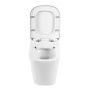 Унитаз приставной безободковый  BelBagno ALBANO BB120CBR Унитаз приставной безободковый  BelBagno ALBANO BB120CBR