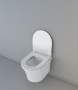 Подвесной безободковый унитаз Cerutti SPA Adige Aria CT7837 с быстросъемным сиденьем микролифт Подвесной безободковый унитаз Cerutti SPA Adige Aria CT7837 с быстросъемным сиденьем микролифт