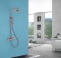 Душевая стойка ABBER Wasser Kreis AF8160RG с термостатом без излива розовое золото Душевая стойка ABBER Wasser Kreis AF8160RG с термостатом без излива розовое золото