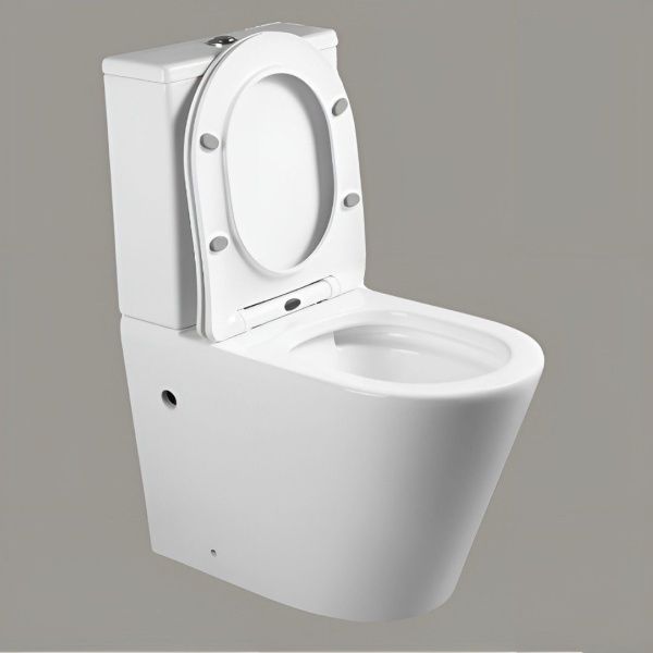 Унитаз напольный безободковый белый Cerutti SPA SELLA GW CT9864 с сиденьем микролифт Унитаз напольный безободковый белый Cerutti SPA SELLA GW CT9864 с сиденьем микролифт