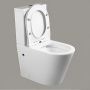 Унитаз напольный безободковый белый Cerutti SPA SELLA GW CT9864 с сиденьем микролифт Унитаз напольный безободковый белый Cerutti SPA SELLA GW CT9864 с сиденьем микролифт