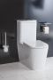 Чаша унитаза безободковая  BelBagno ALBANO BB120CPR Чаша унитаза безободковая  BelBagno ALBANO BB120CPR
