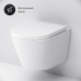 Подвесной унитаз AM.PM Sense FlashClean C741701SC с сиденьем микролифт Подвесной унитаз AM.PM Sense FlashClean C741701SC с сиденьем микролифт