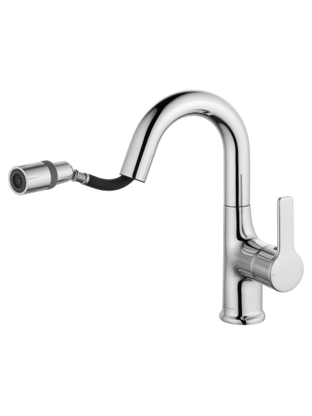 Смеситель для раковины с гигиеническим душем Wonzon & Woghand WW-FE01L212-CR хром глянцевый