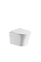 Подвесной безободковый унитаз Cerutti SPA Adige Aria CT7837 с быстросъемным сиденьем микролифт Подвесной безободковый унитаз Cerutti SPA Adige Aria CT7837 с быстросъемным сиденьем микролифт
