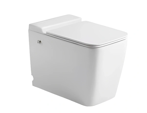 Унитаз приставной импульсного смыва безободковый Cerutti Spa MAIELLA Pulse CT10196 с сиденьем микролифт Унитаз приставной импульсного смыва безободковый Cerutti Spa MAIELLA Pulse CT10196 с сиденьем микролифт