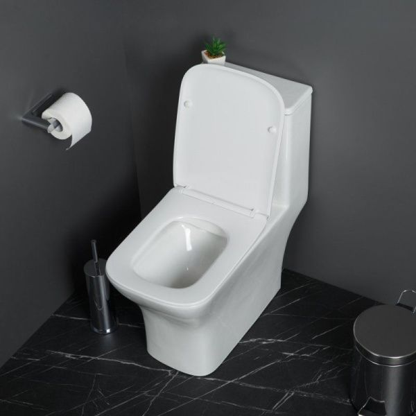 Унитазмоноблок безободковый с сиденьем  BelBagno NEON BB8617CPR-MN/SC Унитазмоноблок безободковый с сиденьем  BelBagno NEON BB8617CPR-MN/SC