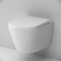 Подвесной унитаз AM.PM Sense FlashClean C741701SC с сиденьем микролифт Подвесной унитаз AM.PM Sense FlashClean C741701SC с сиденьем микролифт