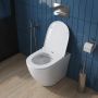 Унитаз приставной  BelBagno SFERA-R BB2141CBR Унитаз приставной  BelBagno SFERA-R BB2141CBR