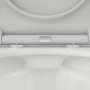 Унитаз подвесной безободковый с сиденьем микролифт Damixa Skyline DX35C1700SC Унитаз подвесной безободковый с сиденьем микролифт Damixa Skyline DX35C1700SC