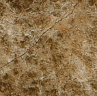 Вставка для плитки Museum 5x5 см 13189 коричневый