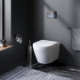 Подвесной унитаз AM.PM Sense FlashClean C741701SC с сиденьем микролифт Подвесной унитаз AM.PM Sense FlashClean C741701SC с сиденьем микролифт