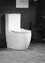 Унитаз напольный безободковый белый Cerutti SPA ORLTER CT9867 с сиденьем микролифт Унитаз напольный безободковый белый Cerutti SPA ORLTER CT9867 с сиденьем микролифт