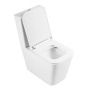 Чаша унитаза безободковая  BelBagno ARDENTE-R BB02093CPR Чаша унитаза безободковая  BelBagno ARDENTE-R BB02093CPR