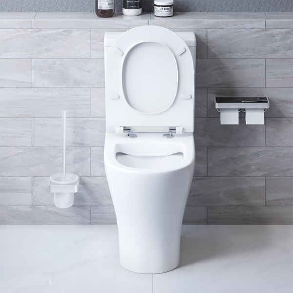 Унитаз-компакт безободковый с сиденьем микролифт Damixa Sirius DX86C8600SC Унитаз-компакт безободковый с сиденьем микролифт Damixa Sirius DX86C8600SC