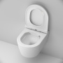 Унитаз подвесной FlashClean с сиденьем микролифт AM.PM Func C8F1700SC Унитаз подвесной FlashClean с сиденьем микролифт AM.PM Func C8F1700SC