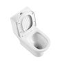 Унитазмоноблок безободковый с сиденьем  BelBagno LOUNGE BB8618CPR-MN/SC Унитазмоноблок безободковый с сиденьем  BelBagno LOUNGE BB8618CPR-MN/SC