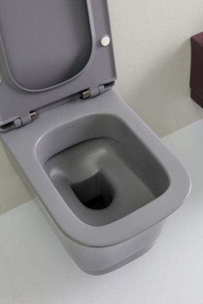 Безободковый унитаз крепежом  White Ceramic Idea W10003FM серый матовый Безободковый унитаз крепежом  White Ceramic Idea W10003FM серый матовый