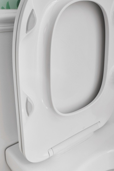 Унитаз Jacob Delafon Modern Life E77725-0 подвесной безободковый