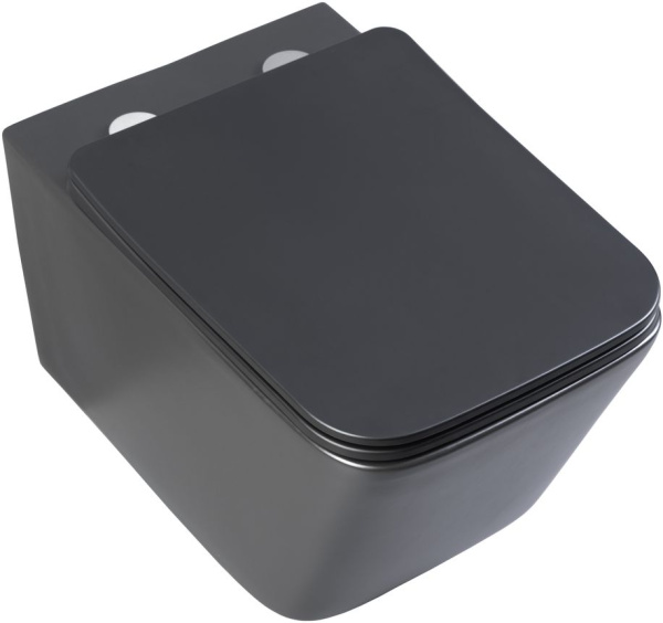 Унитаз подвесной Aquanet TAVR-W BW безободковый с микролифтом