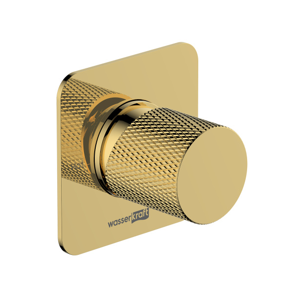 Встраиваемый смеситель для душа WasserKRAFT Ems 7651 золото глянцевый