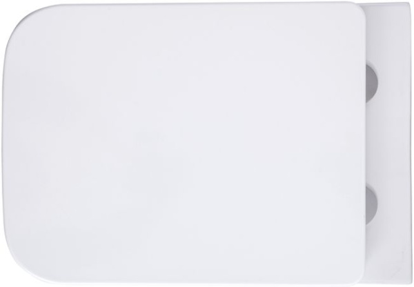 Унитаз подвесной Aquanet Elegant W безободковый с микролифтом